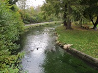 Stream en route to gym