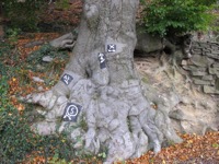 Direction indicators?