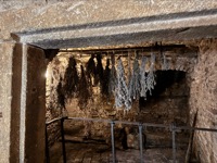 Speculum Alchemiæ room