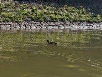 View from river cruise